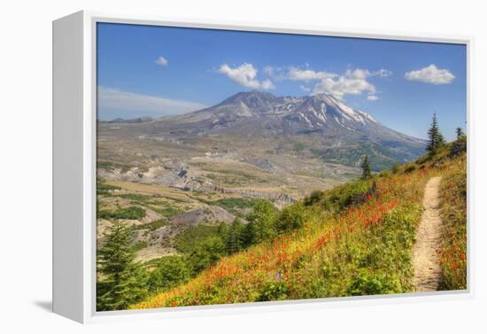 Mount St. Helens with wild flowers, Mount St. Helens National Volcanic Monument, Washington State, -Richard Maschmeyer-Framed Premier Image Canvas