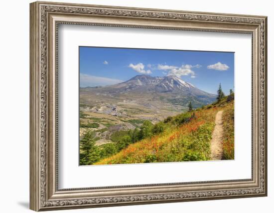 Mount St. Helens with wild flowers, Mount St. Helens National Volcanic Monument, Washington State, -Richard Maschmeyer-Framed Photographic Print