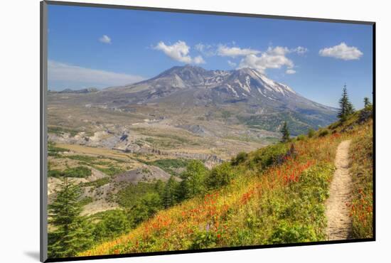 Mount St. Helens with wild flowers, Mount St. Helens National Volcanic Monument, Washington State, -Richard Maschmeyer-Mounted Photographic Print