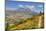 Mount St. Helens with wild flowers, Mount St. Helens National Volcanic Monument, Washington State, -Richard Maschmeyer-Mounted Photographic Print