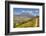 Mount St. Helens with wild flowers, Mount St. Helens National Volcanic Monument, Washington State, -Richard Maschmeyer-Framed Photographic Print