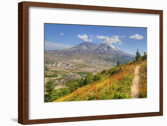 Mount St. Helens with wild flowers, Mount St. Helens National Volcanic Monument, Washington State, -Richard Maschmeyer-Framed Photographic Print