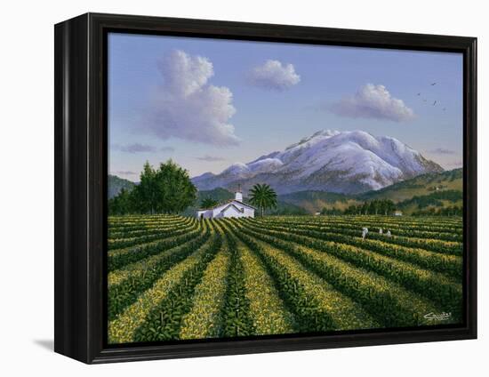 Mount Sta Helena - Napa Valley-Eduardo Camoes-Framed Premier Image Canvas