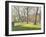 Mount Street Gardens, London-Julian Barrow-Framed Giclee Print