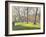 Mount Street Gardens, London-Julian Barrow-Framed Giclee Print