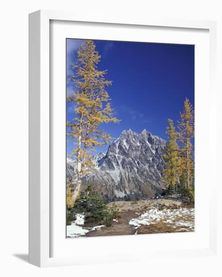 Mount Stuart with Golden Larch Trees, Mount Stuart Range, Washington, USA-null-Framed Photographic Print