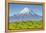 Mount Taranaki (Egmont) and Grazing Dairy Cows, Taranaki, North Island, New Zealand-Doug Pearson-Framed Premier Image Canvas