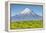 Mount Taranaki (Egmont) and Grazing Dairy Cows, Taranaki, North Island, New Zealand-Doug Pearson-Framed Premier Image Canvas