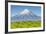 Mount Taranaki (Egmont) and Grazing Dairy Cows, Taranaki, North Island, New Zealand-Doug Pearson-Framed Photographic Print