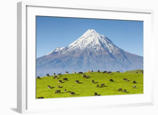 Mount Taranaki (Egmont) and Grazing Dairy Cows, Taranaki, North Island, New Zealand-Doug Pearson-Framed Photographic Print