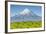 Mount Taranaki (Egmont) and Grazing Dairy Cows, Taranaki, North Island, New Zealand-Doug Pearson-Framed Photographic Print