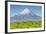 Mount Taranaki (Egmont) and Grazing Dairy Cows, Taranaki, North Island, New Zealand-Doug Pearson-Framed Photographic Print