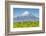 Mount Taranaki (Egmont) and Grazing Dairy Cows, Taranaki, North Island, New Zealand-Doug Pearson-Framed Photographic Print