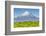 Mount Taranaki (Egmont) and Grazing Dairy Cows, Taranaki, North Island, New Zealand-Doug Pearson-Framed Photographic Print