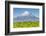 Mount Taranaki (Egmont) and Grazing Dairy Cows, Taranaki, North Island, New Zealand-Doug Pearson-Framed Photographic Print