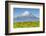 Mount Taranaki (Egmont) and Grazing Dairy Cows, Taranaki, North Island, New Zealand-Doug Pearson-Framed Photographic Print