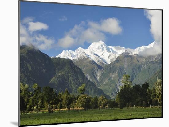 Mount Tasman and Cook Flat, Westland Tai Poutini National Park, New Zealand-Jochen Schlenker-Mounted Photographic Print