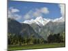 Mount Tasman and Cook Flat, Westland Tai Poutini National Park, New Zealand-Jochen Schlenker-Mounted Photographic Print