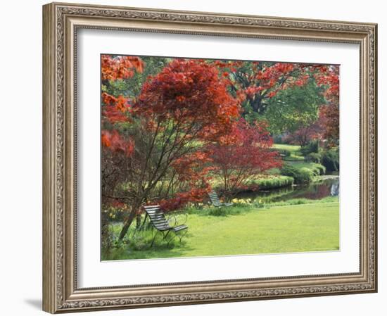 Mount Ushmore Gardens, County Wicklow, Leinster, Republic of Ireland (Eire)-Michael Busselle-Framed Photographic Print