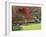 Mount Ushmore Gardens, County Wicklow, Leinster, Republic of Ireland (Eire)-Michael Busselle-Framed Photographic Print