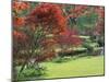 Mount Ushmore Gardens, County Wicklow, Leinster, Republic of Ireland (Eire)-Michael Busselle-Mounted Photographic Print