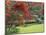 Mount Ushmore Gardens, County Wicklow, Leinster, Republic of Ireland (Eire)-Michael Busselle-Mounted Photographic Print