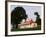 Mount Veron, Home of George Washington, Washington DC, USA-Walter Bibikow-Framed Photographic Print