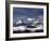 Mount Wilson in the Winter, Uncompahgre National Forest, Colorado, USA, North America-James Hager-Framed Photographic Print