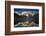 Mount Yerupaja Reflects in Lake Huayhuish, Andes Mountains, Peru-Howie Garber-Framed Photographic Print