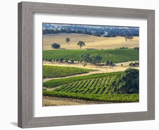 Mountadam Vineyard Winery on High Eden Road, Barossa Valley, Australia-Janis Miglavs-Framed Photographic Print