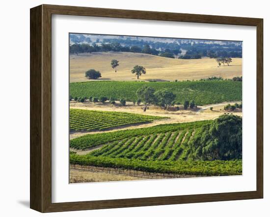 Mountadam Vineyard Winery on High Eden Road, Barossa Valley, Australia-Janis Miglavs-Framed Photographic Print