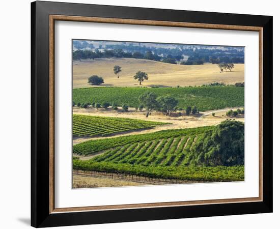 Mountadam Vineyard Winery on High Eden Road, Barossa Valley, Australia-Janis Miglavs-Framed Photographic Print