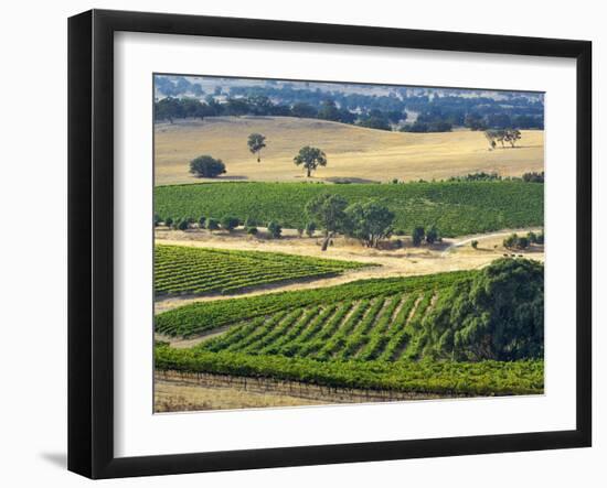 Mountadam Vineyard Winery on High Eden Road, Barossa Valley, Australia-Janis Miglavs-Framed Photographic Print