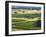 Mountadam Vineyard Winery on High Eden Road, Barossa Valley, Australia-Janis Miglavs-Framed Photographic Print