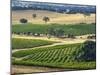 Mountadam Vineyard Winery on High Eden Road, Barossa Valley, Australia-Janis Miglavs-Mounted Photographic Print