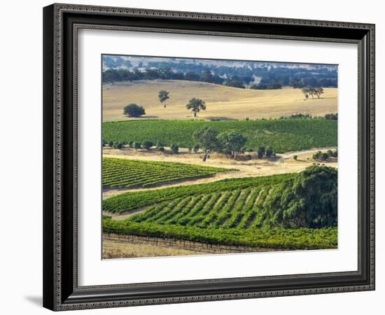 Mountadam Vineyard Winery on High Eden Road, Barossa Valley, Australia-Janis Miglavs-Framed Photographic Print