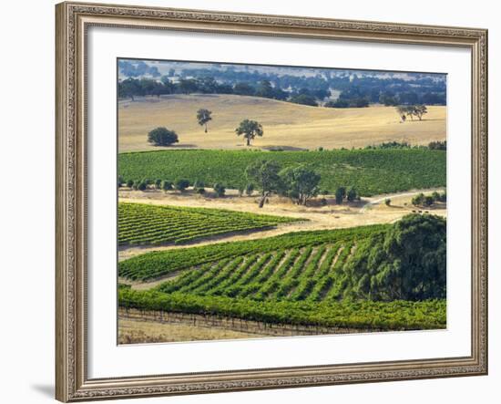 Mountadam Vineyard Winery on High Eden Road, Barossa Valley, Australia-Janis Miglavs-Framed Photographic Print