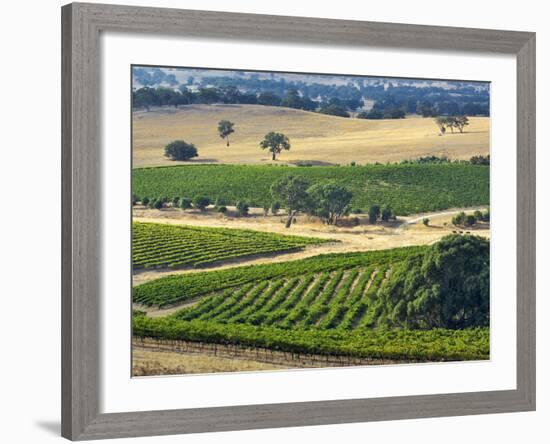 Mountadam Vineyard Winery on High Eden Road, Barossa Valley, Australia-Janis Miglavs-Framed Photographic Print