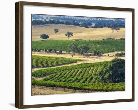 Mountadam Vineyard Winery on High Eden Road, Barossa Valley, Australia-Janis Miglavs-Framed Photographic Print