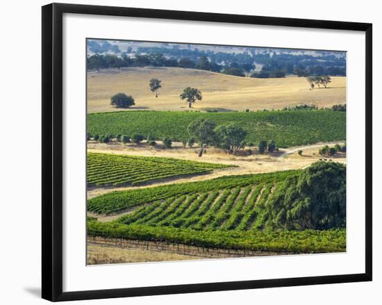 Mountadam Vineyard Winery on High Eden Road, Barossa Valley, Australia-Janis Miglavs-Framed Photographic Print