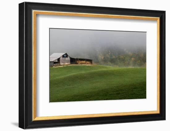 Mountain Air-Danny Head-Framed Photographic Print