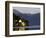 Mountain and Houses Reflecting in Fjord Waters, Norway-Michele Molinari-Framed Photographic Print