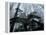 Mountain Ash Trees and Tree Ferns in Fog, Dandenong Ranges, Victoria, Australia-Schlenker Jochen-Framed Premier Image Canvas