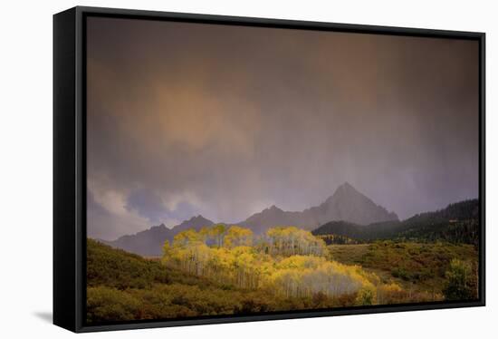 Mountain Aspens-Dan Ballard-Framed Stretched Canvas