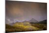 Mountain Aspens-Dan Ballard-Mounted Photographic Print