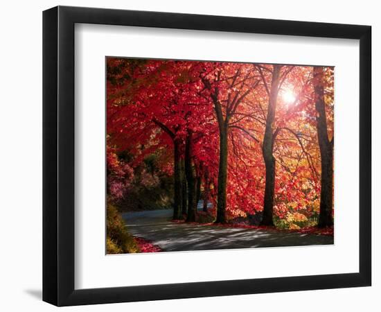 Mountain avenue-Marco Carmassi-Framed Photographic Print
