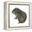 Mountain Beaver (Aplodontia Rufa), Mammals-Encyclopaedia Britannica-Framed Stretched Canvas