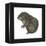 Mountain Beaver (Aplodontia Rufa), Mammals-Encyclopaedia Britannica-Framed Stretched Canvas