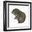 Mountain Beaver (Aplodontia Rufa), Mammals-Encyclopaedia Britannica-Framed Art Print