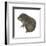 Mountain Beaver (Aplodontia Rufa), Mammals-Encyclopaedia Britannica-Framed Art Print